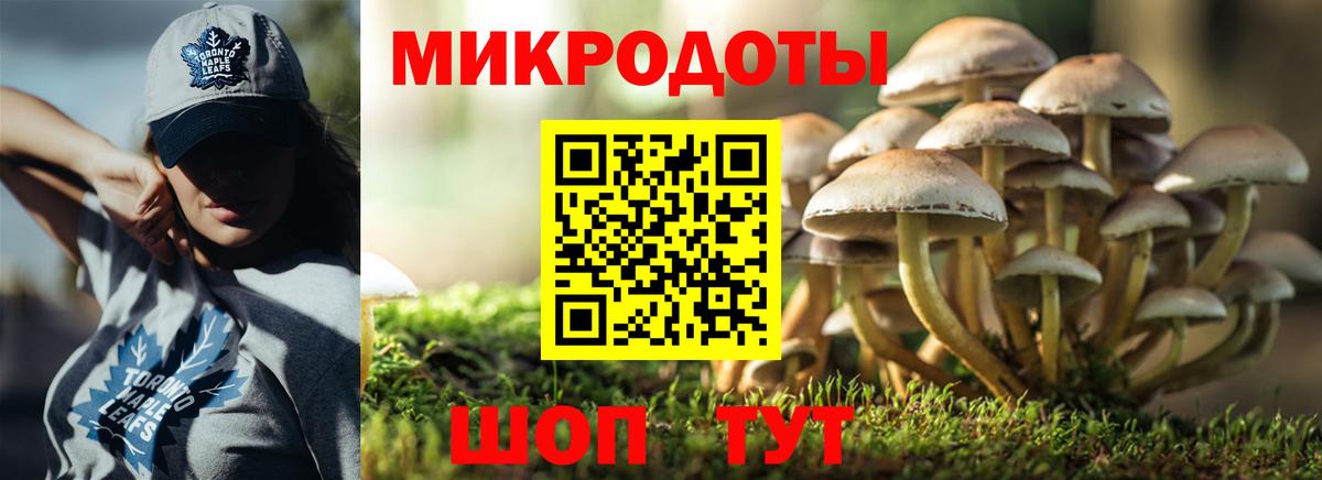 Псилоцибиновые грибы Psilocybe  Вход с VPN  Жигулёвск  Галлюциногенные грибы Psilocybe 